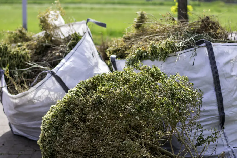 How Brush Removal Prepares Land For Construction Work Burnet, TX